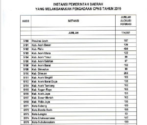 Website Pendaftaran PNS 2019 Sudah Muncul, 23 Kabupaten di Aceh Buka Formasi